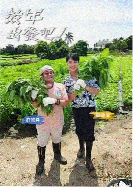 稻草影视免费观看电视剧 资讯